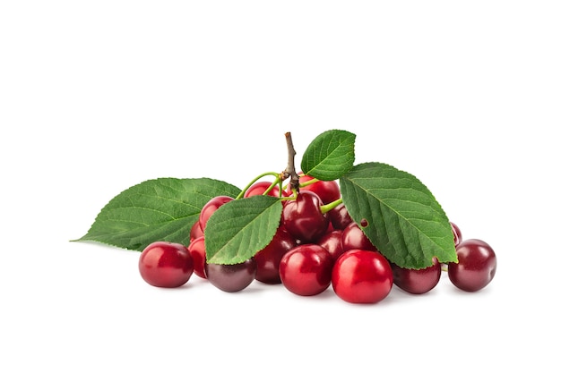 ripe cherry berries on a branch with leaves isolate on a white background