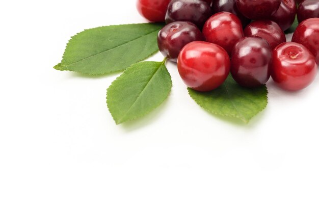 Ripe cherry berries on a white background closeup