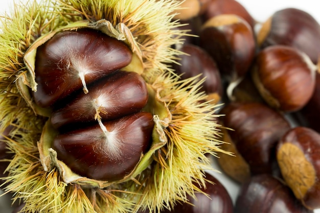 Ripe chestnuts close up. Raw Chestnuts for Christmas. Fresh sweet chestnut. Castanea sativa top wiew. Food background.