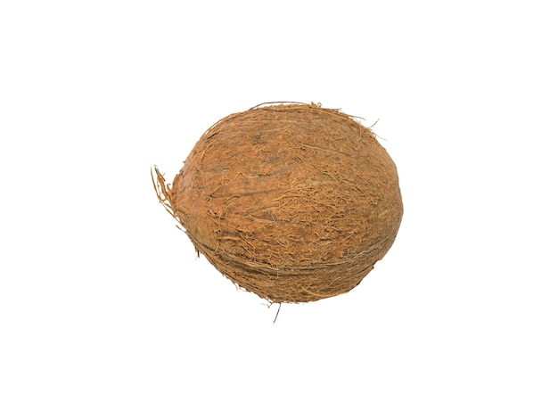 Ripe coconut isolated. Tropical fruit.
