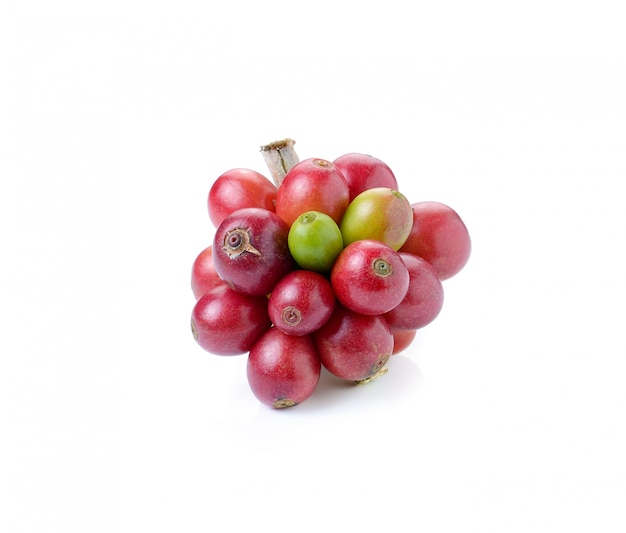 Ripe coffee beans on white space