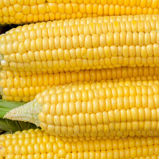 Ripe corn in a clay bowl on a dark wooden background.