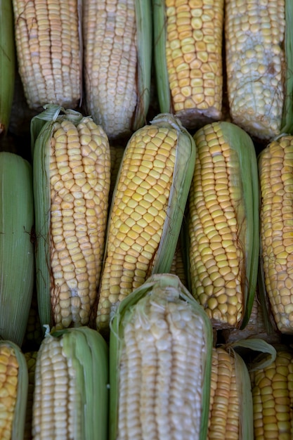 Foto pannocchie di granoturco mature nel mercato all'aperto.