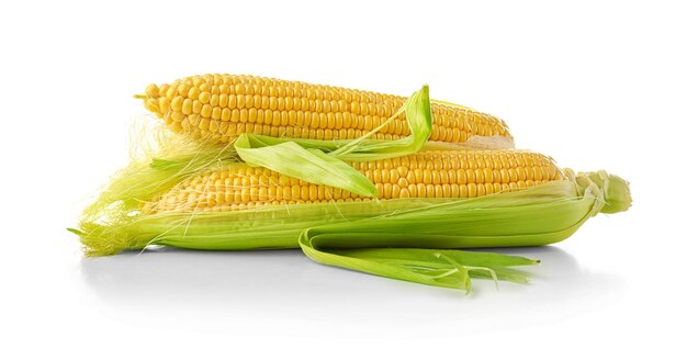 Ripe corn cobs on white background