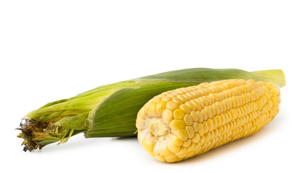 Ripe corn heads in cob and peeled on a white background