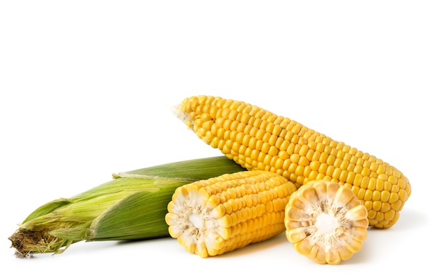 Ripe corn heads in cob and peeled on a white background