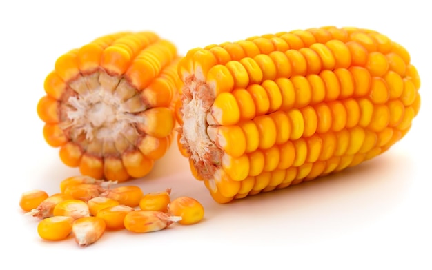 Ripe corn isolated