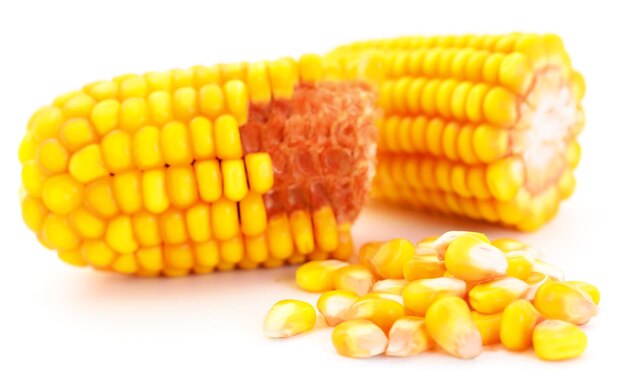 Ripe corn isolated