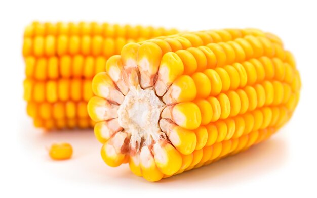 Ripe corn isolated