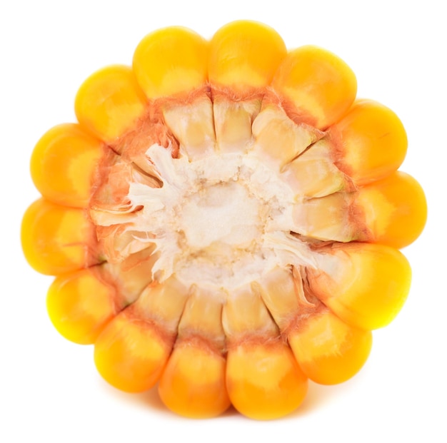 Ripe corn isolated