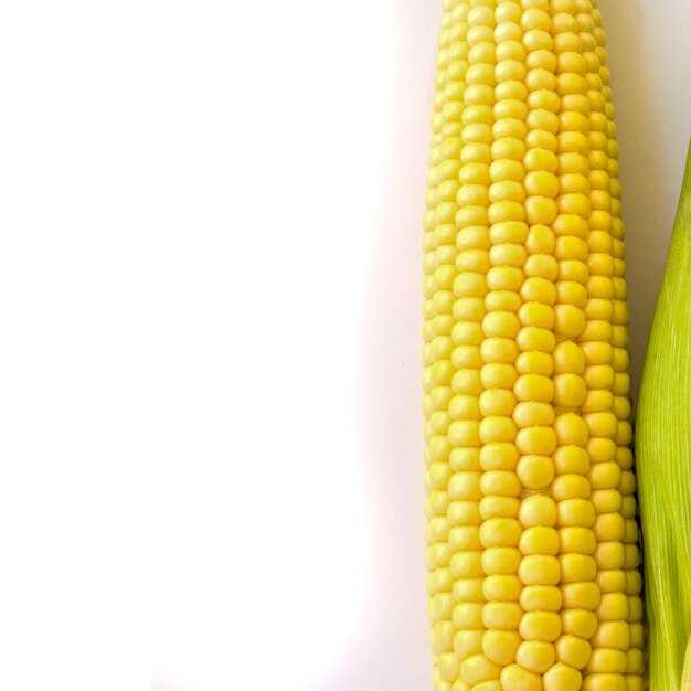 Photo ripe corn kernels on the cob on a white background