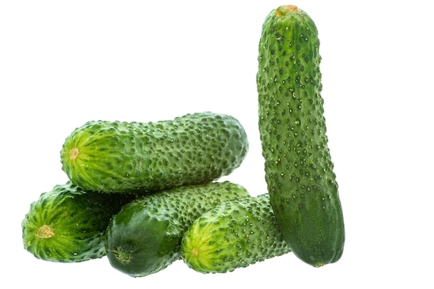 Ripe cucumber vegetables on white background