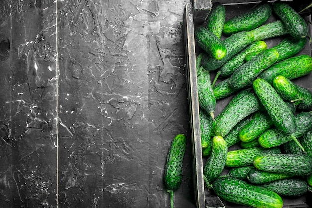 Photo ripe cucumbers in the box