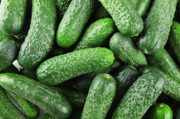 Ripe cucumbers closeup