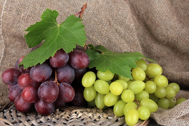 Ripe delicious grapes on table closeup