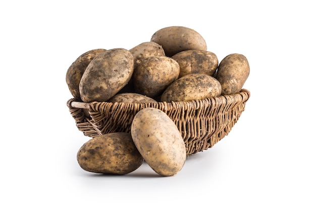 Ripe dirty potatoes in wood basket isolated on white background.