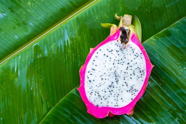 Ripe dragon fruit on a wet green leaf