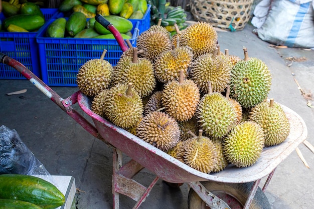 Ripe durian fruit on a cart in the local market in Island Bali Ubud Indonesia close up King of fruits in asia