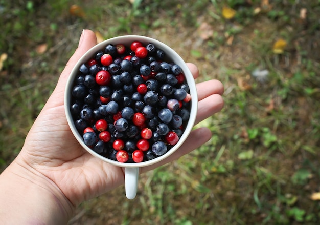 Ripe forest blueberry and cranberry in the cup