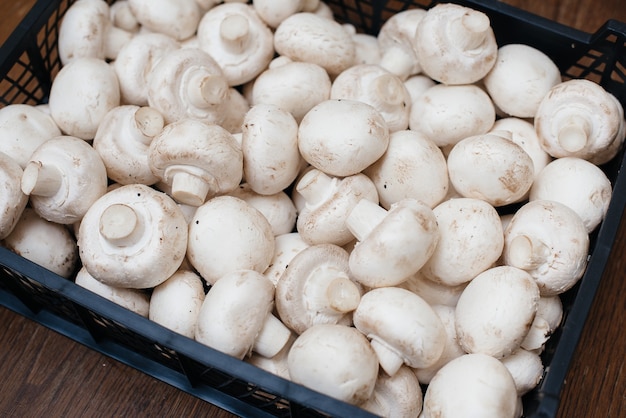 Ripe fresh mushrooms in a box in the warehouse after assembling a close-up.