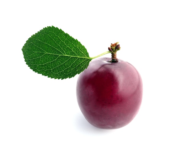 Ripe fresh plum on white background