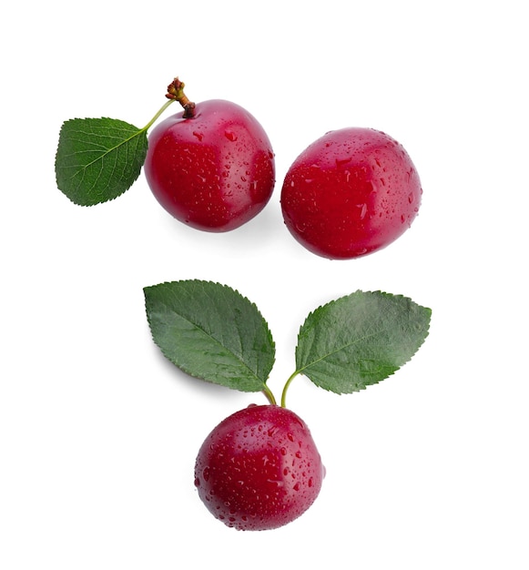 Ripe fresh plums on white background