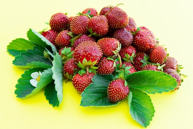 Ripe fresh strawberry
