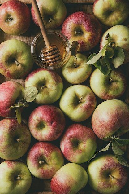 Ripe gardening apples