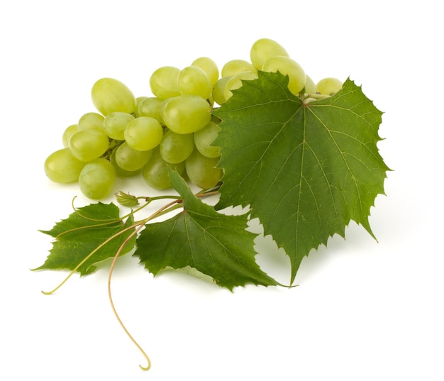 Ripe grape whith leaf