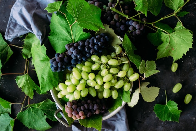 Ripe grapes on a dark background