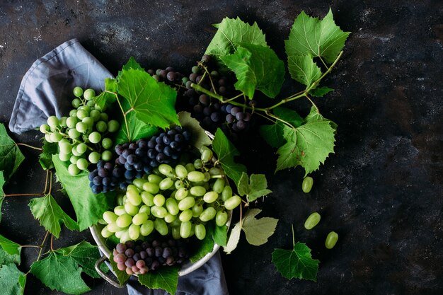 Ripe grapes on a dark background