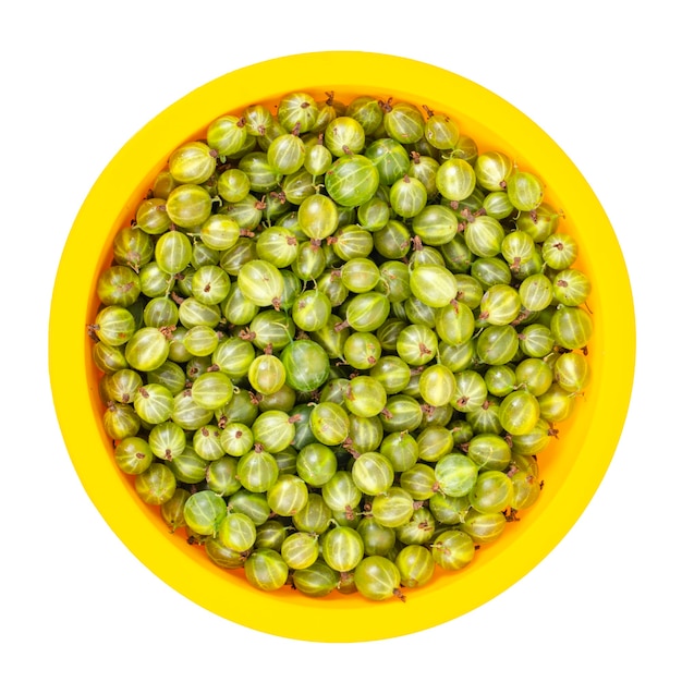 Ripe green gooseberries in yellow bowl. 