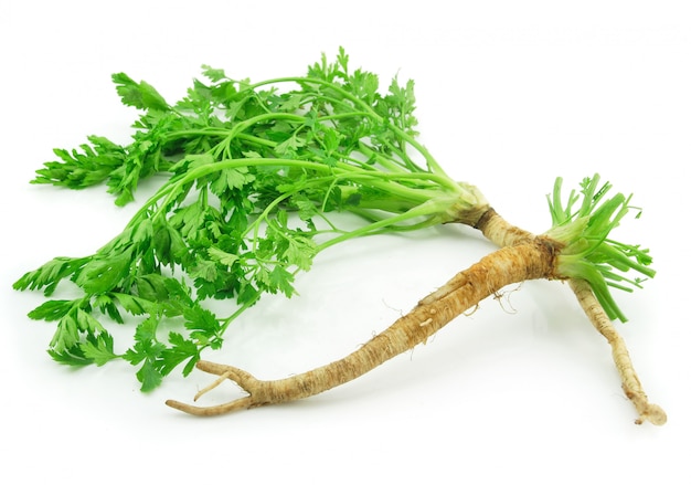 Ripe Green Parsley Isolated on White