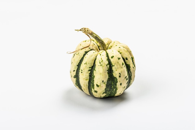 Ripe green pumpkin isolated on white background. Whole squash, traditional festive decorative element for Halloween or Thanksgiving