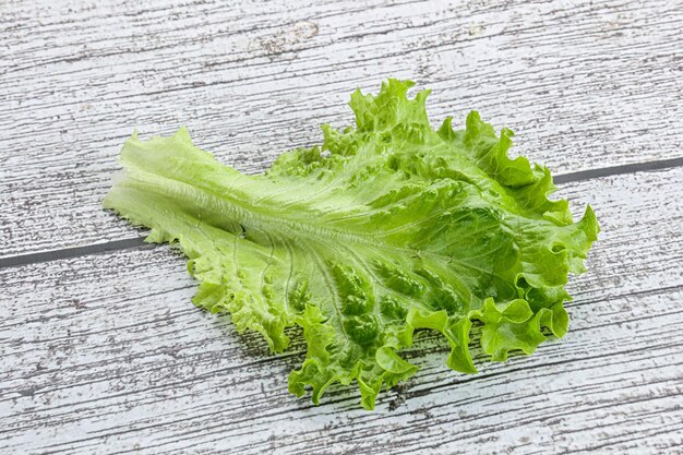 Ripe green salad lettuce leaf