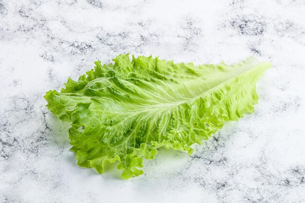 Photo ripe green salad lettuce leaf