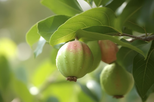 Ripe guava vruchten Genereren van AI