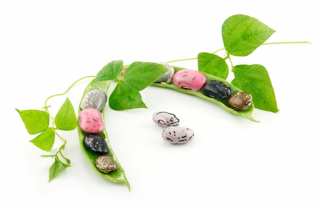 Photo ripe haricot beans with seed and leaves isolated on white