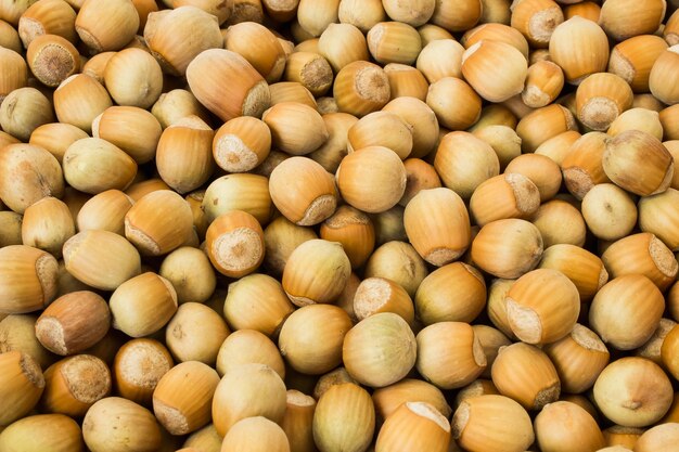 Photo ripe hazelnuts in a peel on a white