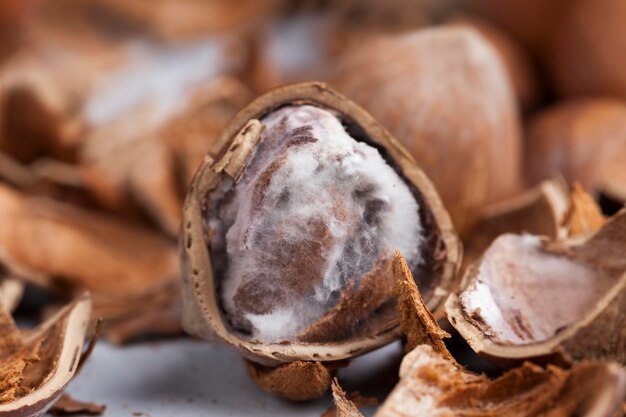 ripe hazelnuts ready for eating, hazelnuts peeled from the shell