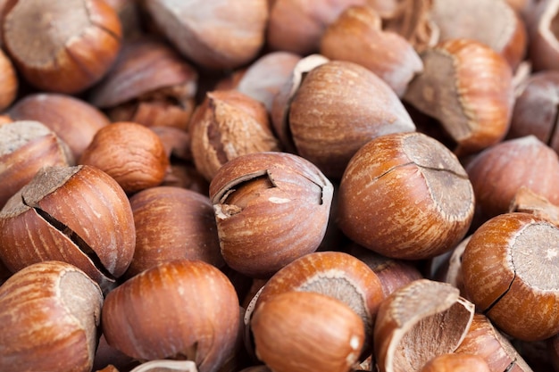 Ripe hazelnuts ready for eating hazelnuts peeled from the shell