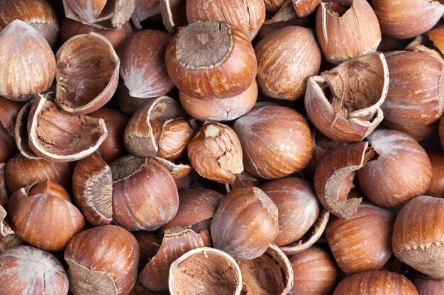 Ripe hazelnuts ready for eating hazelnuts peeled from the shell