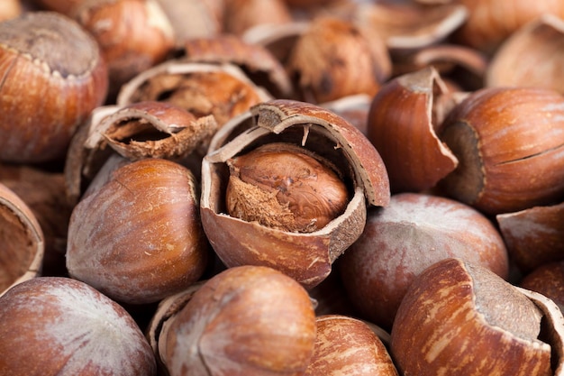 Ripe hazelnuts ready for eating hazelnuts peeled from the shell