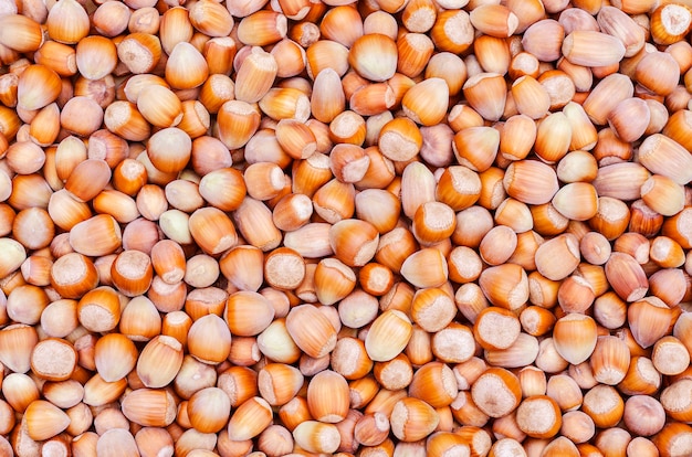 Ripe hazelnuts scattered on the table