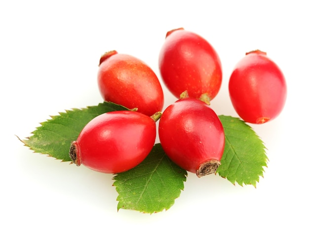 Ripe hip roses on green leaves isolated on white