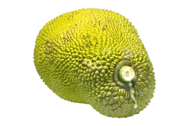 사진 잘 익은 jackfruit 흰색 배경에 고립