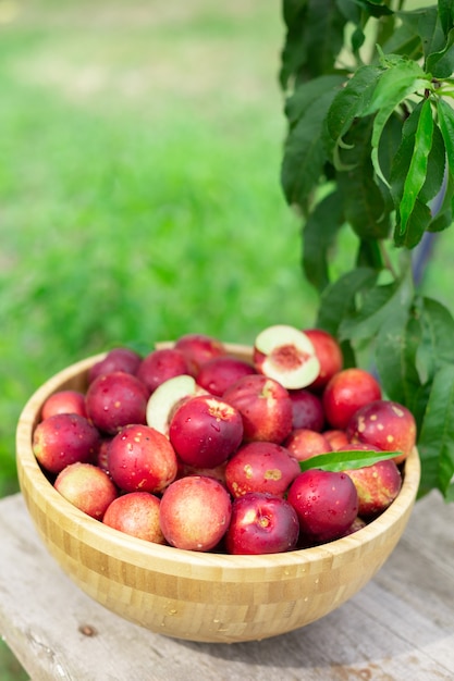 ripe juicy nectarines in a wooden bowl on an old wooden table in a nectarine garden