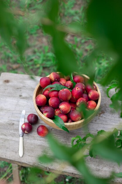 ripe juicy nectarines in a wooden bowl on a wooden table in the garden with a rustic style knife