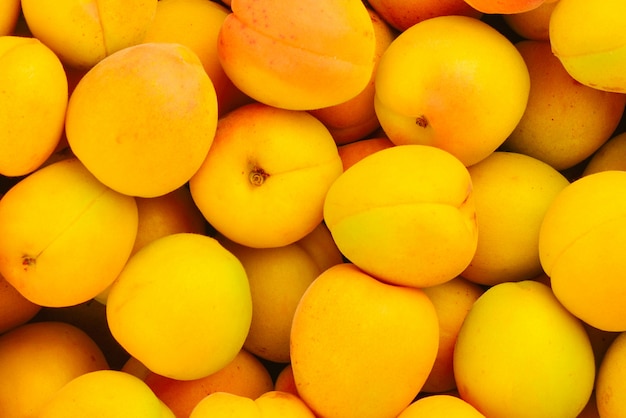 Ripe juicy orange apricots fruit background.