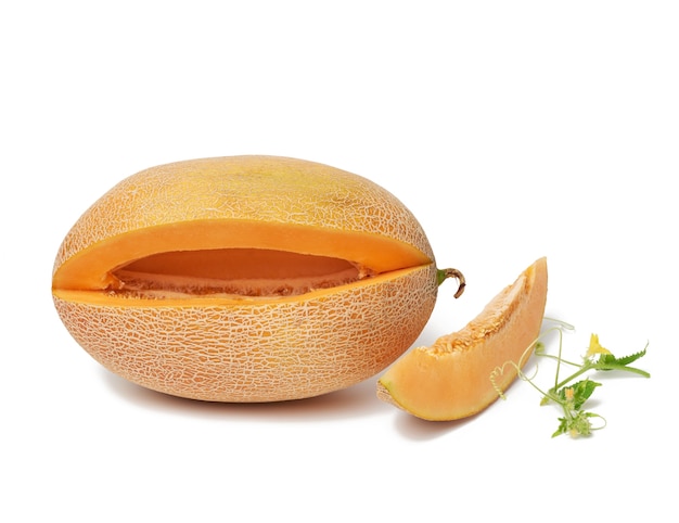 Ripe juicy orange melon and cut piece with seeds, green shoot with leaves and flowers isolated on white background